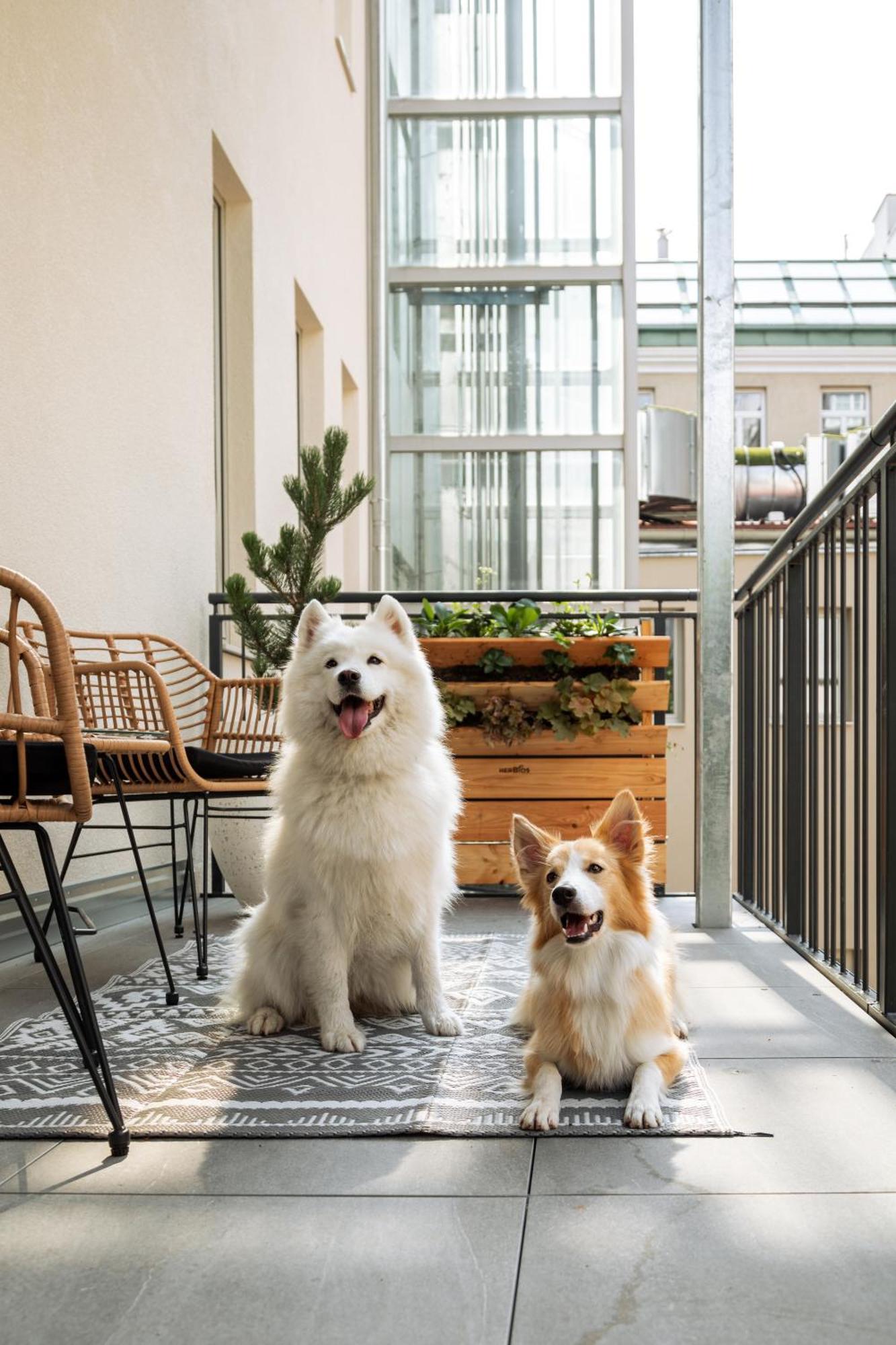 Urban Jungle Apartments Viyana Dış mekan fotoğraf